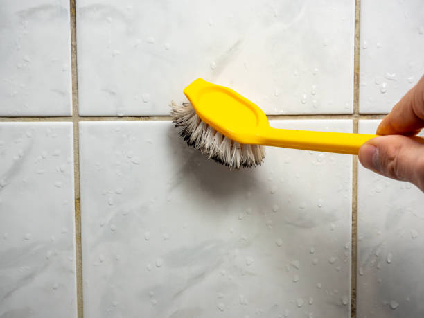 Best Professional Mold Removal  in Breckenridge Hills, MO