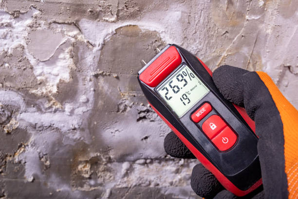 Best Mold Testing  in Breckenridge Hills, MO