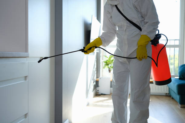 Crawl Space Mold Removal in Breckenridge Hills, MO
