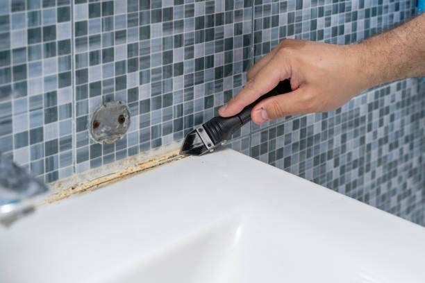 Best Mold Testing  in Breckenridge Hills, MO