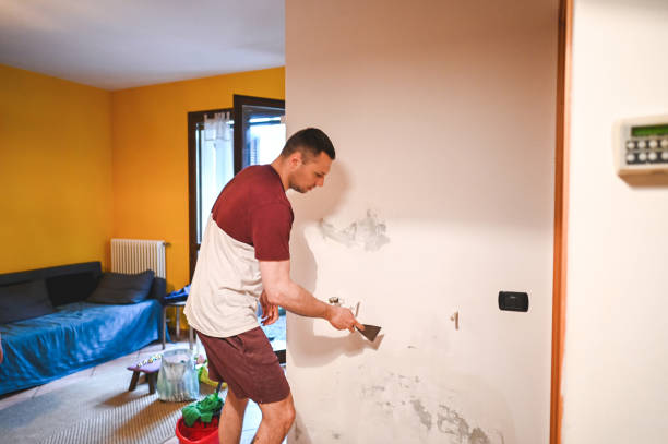 Best Fast Mold Removal  in Breckenridge Hills, MO
